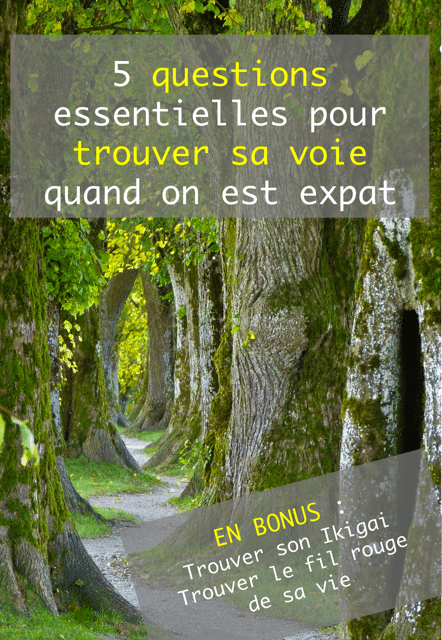 E book 5 questions essentielles